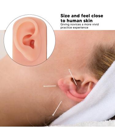 Flexible Reusable Human Ear Model for Acupuncture Training - 3pcs Right Ear, 3 Colors - Buy Online on GoSupps.com