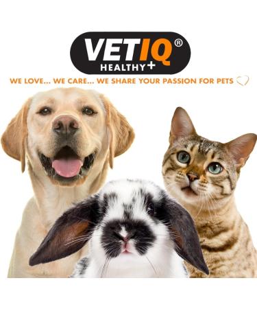 VetIQ Skin & Coat 250ml Promotes Healthy Skin & Coat with Omega 3 Oil Dog Grooming Supplement Helps Reduce Shedding Dog & Cat Supplements For Dry Itchy Skin - Buy Online on GoSupps.com