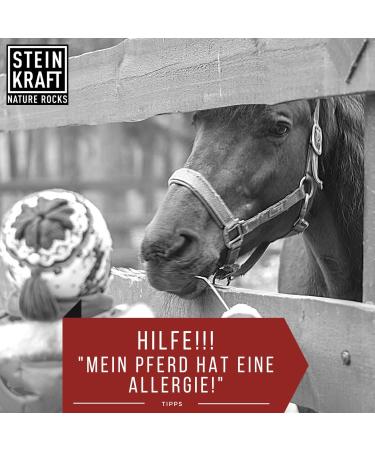 Stone Power Zeolite Powder for Horses - 1kg 24 m Clinoptilolite-Rich Natural Minerals & Trace Elements - Buy Online on GoSupps.com