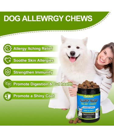 Dog Allergy Chews Dog Allergy and Itching Skin Relief Anti-Itch Skin & Coat Supplement Itch Allergy Probiotics Support Chew Vitamins with Salmon Oil Colostrum for Skin and Coat Allergies -180 Ct - Buy Online on GoSupps.com