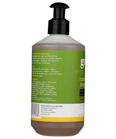 Buy ALAFFIA Good Soap Crushed Sage Hand Soap - Natural Eco-Friendly 12 oz | International Shipping Available - Buy Online on GoSupps.com