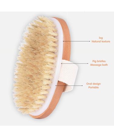 3 Pack Bath Dry Brush Set for Body Exfoliation & Shower Massage - Natural Soft and Stiff Bristles with Long Handle and Pumice Brush Included - Buy Online on GoSupps.com