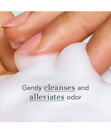 Rael Natural Feminine Cleansing Wash - pH-Balanced, Gentle Foaming Intimate Wash for Sensitive Skin - Unscented, Natural Ingredients- 5oz (2 Pack) - Buy Online on GoSupps.com