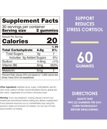 Nature's Key Melatonin Gummies for Kids & Adults 5mg Dose Gummy with Vitamin B6 Non-GMO Gluten-Free-Natural Blueberry Flavor 60 Count 60 Count (Pack of 1) - Buy Online on GoSupps.com