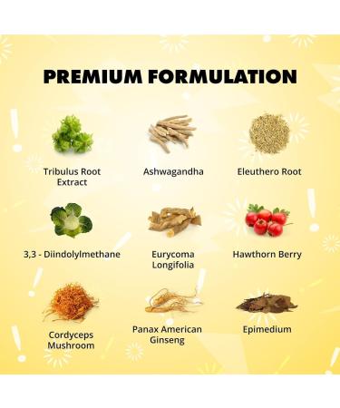 Sculpt Nation - Tribulus Terrestris Supplement with Ashwagandha Tribulus Extract and American Ginseng Root - 60 Gluten Free Capsules - 2 Pack 60 Count (Pack of 2) 2 - Buy Online on GoSupps.com