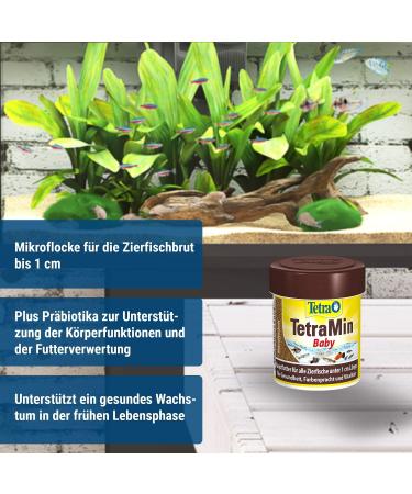 Tetramine Baby Fish Feed - Micro Flakes for Decorative Fish Up to 1cm - Special Growth Formula (66ml Can) - Buy Online on GoSupps.com