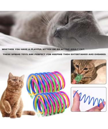 40Pcs Cat Spring Cat Spring Toys Colorful Kitten Toy for Kittens BPA Free Durable Heavy Plastic Interactive Toys to Kill Time for Swatting Biting Cat Toys for Kittens (4 Colors) - Buy Online on GoSupps.com