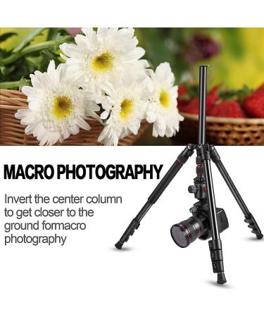 MACTREM 80 Camera Tripod: Heavy Duty DSLR Tripod for Travel - 360 Ball Head, Professional Aluminum, Monopod, Carry Bag - Compatible with Canon Nikon Sony, 33lb Load Capacity, 64.5 Inch - Buy Online on GoSupps.com
