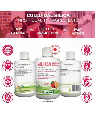 Liquid Silica Supplement - 500ml - For Skin Hair and Nails - Great Taste - Fast Absorption - Vegan - Non-GMO Gluten Free Sugar Free 33 Doses - Made in Canada - Buy Online on GoSupps.com