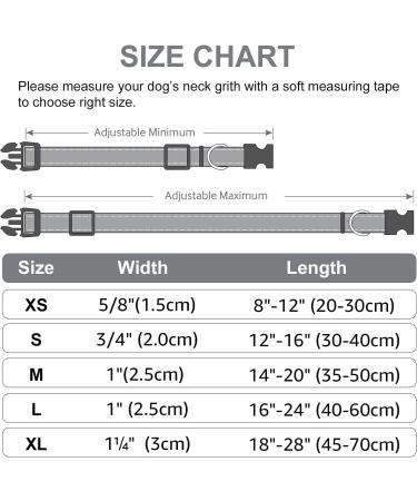 Joytale Reflective Dog Collar for Small Dogs - Grey Size S (Pack of 1) | Best International Shipping - Buy Online on GoSupps.com