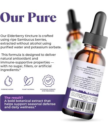 Elderberry Extract 15 000mg Strength Tincture - Organic Immune Support & Wellness Supplement | Elderberry Syrup Organic | 30ml/1oz 1 Fl Oz (Pack of 1) - Buy Online on GoSupps.com