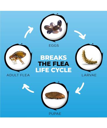 Spot On Flea Treatment For Dogs | Natural Flea & Tick Repellent | Long Lasting & Effective Protection | 50ml - Buy Online on GoSupps.com