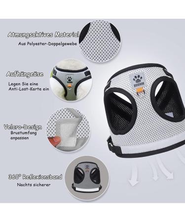 Shop XS Gray Cat Leash Set - Adjustable Polyester Vest & Dishes with Reflective Stripes for Cats & Kittens - International Shipping Available - Buy Online on GoSupps.com