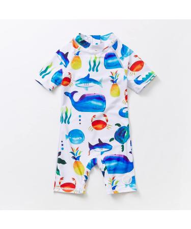 BONVERANO Baby Boys Swimsuit UPF 50+ Sun Protection, White Fish Print 9-12 Months - Buy Online on GoSupps.com