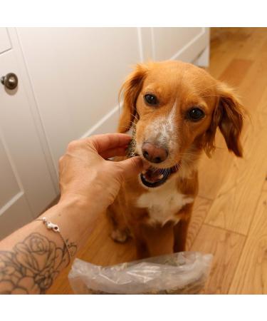 SKIPPER'S Dried Fish For Dogs - Whitefish Skin Jerky Cubes Dog Treats 100% Natural Healthy Grain Free & Low Fat - BULK VALUE (Cube Size Small 1kg Pack) 1 kg (Pack of 1) Small - Buy Online on GoSupps.com