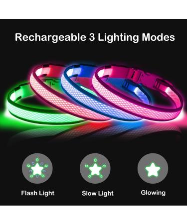 Flashseen LED Dog Collar - USB Rechargeable Light Up Safety Collar for Small, Medium, Large Dogs (Candy Pink, Size Small) - Buy Online on GoSupps.com