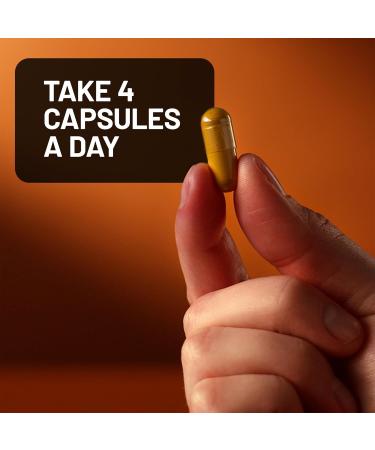 NatureWise Turmeric Curcumin with Black Pepper 2600mg - Ultra Absorption Turmeric Curcumin Supplement + BioPerine - Naturally-Sourced Vegan Non-GMO USA Manufactured - 120 Capsules 30-Day Supply  - Buy Online on GoSupps.com