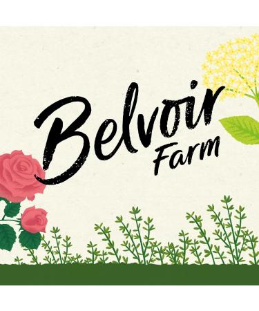 Belvoir Farm Blueberry & Blackcurrant Cordial - 100% Natural Ingredients, Vegan Friendly, 6x500ml Bottles - Buy Online on GoSupps.com
