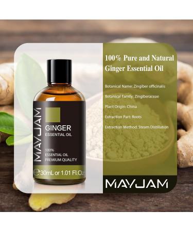 MAYJAM Ginger Essential Oil 30ML Basil Oil for Diffuser and Humidifier - DIY Home Wardrobes - Pack of 1 - Buy Online on GoSupps.com