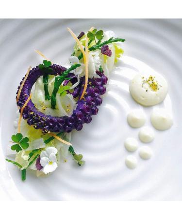 Red Cabbage Powder | Water Soluble Food Dye | Net weight: 1.76oz/50g - Amazing in the Kitchen or for Cocktails! Makes Colour-changing Beverages and Dishes in Red Or Magenta Pink Purple Blue - Buy Online on GoSupps.com