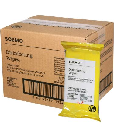 Solimo Disinfecting Wipes On-The-Go 432 ct - 36 ct x 12 | Convenient Travel Size Disinfectant Wipes - Buy Online on GoSupps.com