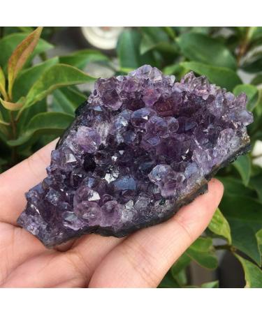 60-70g Natural Dream Amethyst Quartz Crystal Cluster Specimen Healing Reiki Stone Crystal Cluster - Buy Online on GoSupps.com