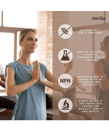 Herba Benfotiamine B1 Vitamin - 120 Capsules | 100mg of High Dose Vitamin B1 Supplement | Highly Bioavailable - Fat Soluble Vitamin B 1 | Better Absorption than Thiamine B1 Supplement | Made in Canada - Buy Online on GoSupps.com