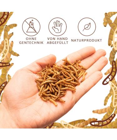 Buy 5 Ltr Dried Mealworms - Nutrient-Rich Feed for Birds Hedgehogs Reptiles & More | Ideal Wild Bird Feed & Pet Snack - Buy Online on GoSupps.com