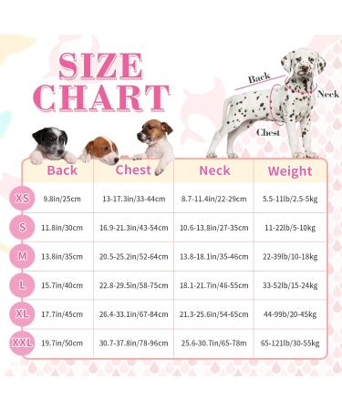 Dog Chimney Swimming Aid | High Buoyancy & Rescue Handle for Safe Dog Swimming - Buy Online on GoSupps.com