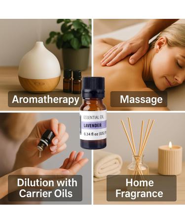 Lavender Essential Oil Fresh Floral Aroma Oil for Diffusers Aromatherapy & Home Fragrance Classic Lavender Scent 0.34 fl oz (10 ml) - Buy Online on GoSupps.com