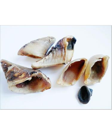 DriedDogTreats 10x Dried Cow Calves HOOVES Grade A - Empty Unfilled Hoof Pet Treat Chew Medium/Large Dogs 100% Natural Long Lasting Treats Snacks Chews - Buy Online on GoSupps.com