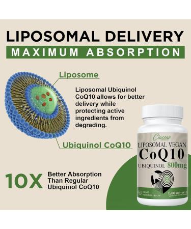 Liposomal CoQ10 800mg Ubiquinol Softgels - Max Absorption Coenzyme Q10 for Antioxidant Support Heart Health & Energy - Vegan 120 Softgels (Pack of 2 - Buy Online on GoSupps.com
