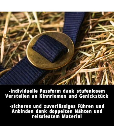 Adjustable Dark Blue Halter for Warmbloods Thoroughbreds & Cold Bloods - Safe Tear-Resistant Stable & Pasture Use | 2 Compartment Chin & Neck Straps - Buy Online on GoSupps.com