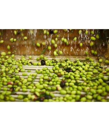 3 x Basso Olio di Oliva Olive Oil Super for Frying 1 Litre Glass Bottles + 1 x Free Felce Azzurra Talcum Powder 100 g Bag - Buy Online on GoSupps.com