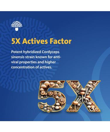 PURICA Cordyceps Sinensis Capsules - 360ct for Enhanced Immune & Energy Support Kidney Health Adult Immune Booster Organic Mushroom Extract Supplement for Stamina & Vitality - Buy Online on GoSupps.com