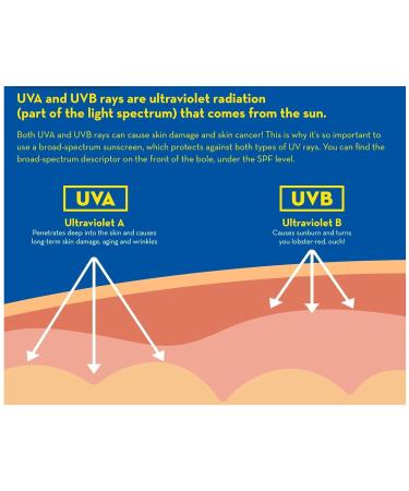 Banana Boat Sport Performance Sunscreen Lotion 30 Spf 1 oz (Pack Of 7) - Buy Online on GoSupps.com