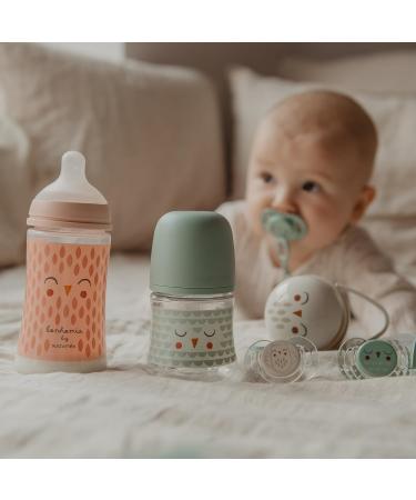 Buy Suavinex Baby Bottles - 2 Glass Bottles 240ml with Silicone Sucker & Anti-Colic Valve for Babies +3 Months - Bonhomia Green | International Shipping Available - Buy Online on GoSupps.com