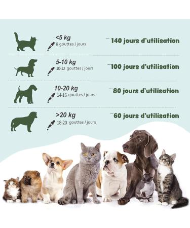 Thilife | Hemp Seed Oil for Dogs and Cats | Beef Flavor | Natural and Rich in Omega 3 6 9 | Vitamins A/B/D/E | for Joint Problems Immune System and Stress Management - Buy Online on GoSupps.com