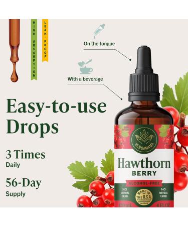 HERBAMAMA Hawthorn Berry Supplement Drops - Vegan Antioxidant & Overall Support with Hawthorn Tincture - Non-GMO Alcohol & Sugar-Free Liquid Fruit Extract 56-Day Supply 4 Fl Oz (Pack of 1) - Buy Online on GoSupps.com