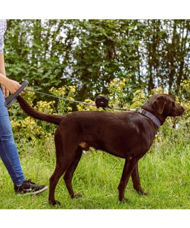 Nobby Classic Preno Leash - Black/Grey 200 cm 25/35 mm | Durable Dog Leash for International Shipping - Buy Online on GoSupps.com