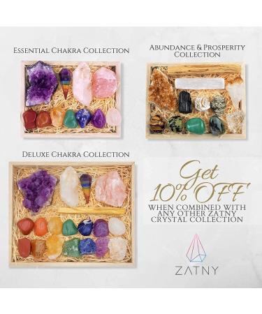 ZATNY Travel Chakra Crystals and Healing Stones Collection - 7 Chakra Set Tumbled Stones Chakra Pendulum Interchangeable Cage Necklace Reference Card Portable Case Ebook Travel Chakra Collection - Buy Online on GoSupps.com
