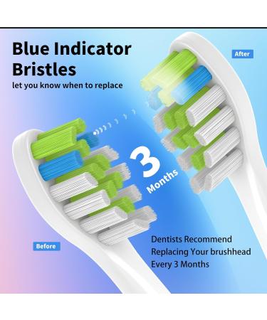 10 Pack Replacement Heads for 7AM2M AM101/AM105 Electric Toothbrush - Soft Brush Bristles Durable & Compatible - Buy Now - Buy Online on GoSupps.com