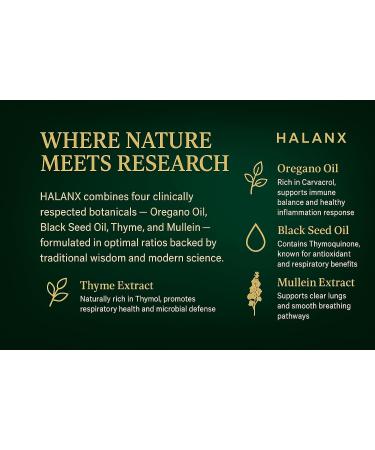 Halanx Oil of Oregano Softgels - Oregano Oil with Black Seed Oil Thyme and Mullein | Non-GMO Immune Support Supplement | Oregano Oil Capsules | Organic Oregano Oill Supplement (150 Softgels) - Buy Online on GoSupps.com
