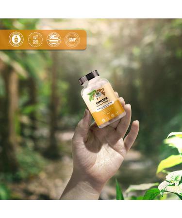 Amazing Botanicals Ginger Root Extract Tablets 200 mg - 10% Gingerols, 20 mg per Tablet, 30 Tablets - Buy Online on GoSupps.com