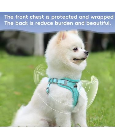 MOSTFUN Escape Proof Cat Harness and Leash Set | Adjustable Soft Mesh Design with Reflective Stripe | Ideal for Small to Medium Cats | Green - Buy Online on GoSupps.com