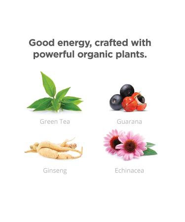 GURU | Original Plant-Based Energy Drink | Recharge with Good Energy from Green Tea | Natural & Organic Ingredients | Healthy Energy drinks to Help Stay Focused | Refreshing Taste | 8.4oz (Pack of 24) - Buy Online on GoSupps.com