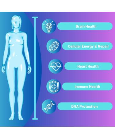 Liposomal NMNH 500mg Per Serving -NMN Supplement Alternative- 120 Capsules (Dihydronicotinamide Mononucleotide) NAD Supplement to Boost NAD+ Levels for Anti Aging (120) 60 Count (Pack of 2) - Buy Online on GoSupps.com