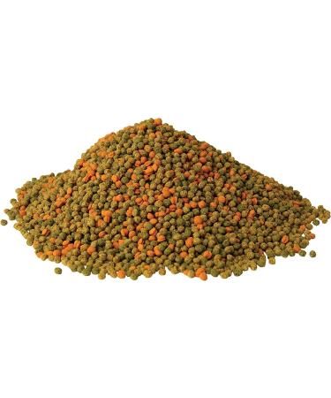 Tetra Fin Goldfish Pellets Fish Food 53g Pack of 4 Multi (77908) 13.25 g (Pack of 4) - Buy Online on GoSupps.com