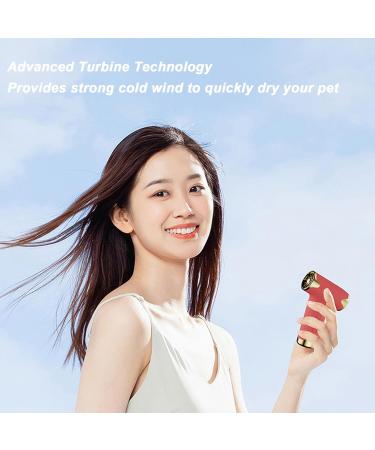 Alomejor Mini Fan: Portable Bladeless Hair Dryer for Pets | 4 Wind Levels 1100mAh Battery - Ideal for Cats & Dogs (Red - Buy Online on GoSupps.com