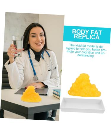 Mobestech Fat 1lb Fat Model Mannequins Manikin Human Body Fat 5lb Fat Display 1-Pound Fat Replica Fitness Base Sports - Buy Online on GoSupps.com
